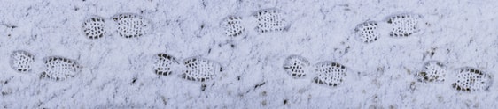 Fußspuren im Schnee